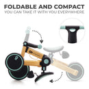 KINDERKRAFT Tricycle w/Push Handle, 4Trike