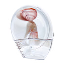 ENVE Handsfree Pump, Ariel, Single