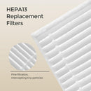 MOMCOZY Hepa13 Replacement Filter for Kleanpal Pro, 2s
