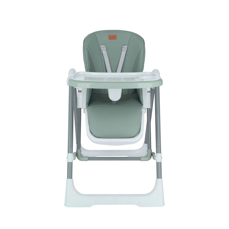 BONBIJOU 2-in-1 Relax High Chair/Swing, Green