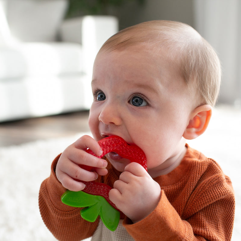 DR. BROWN'S AquaCool Water-filled Teether, Apple