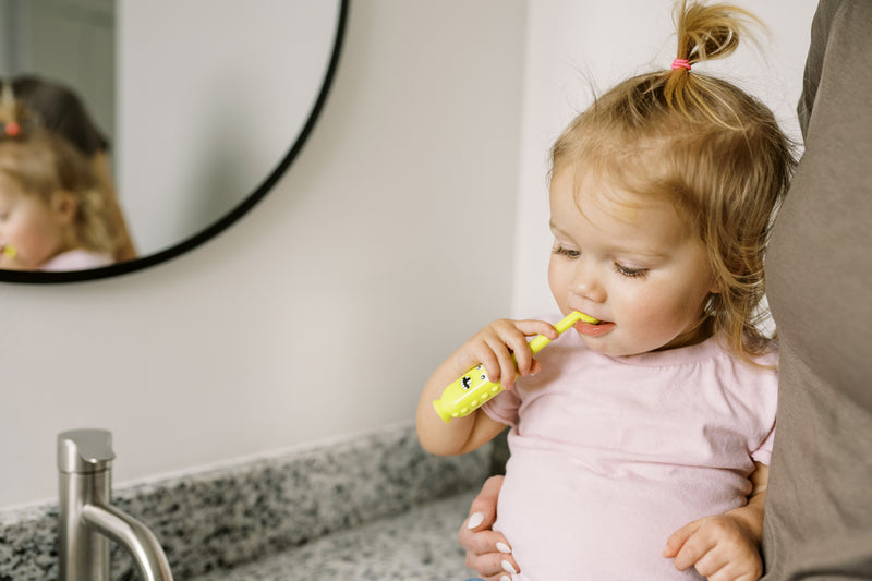 DR. BROWN'S Toothscrubber Toddler Toothbrush