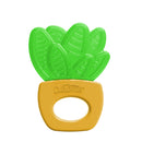 DR. BROWN'S AquaCool Water-Filled Teether - Houseplants