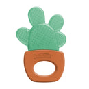 DR. BROWN'S AquaCool Water-Filled Teether - Houseplants