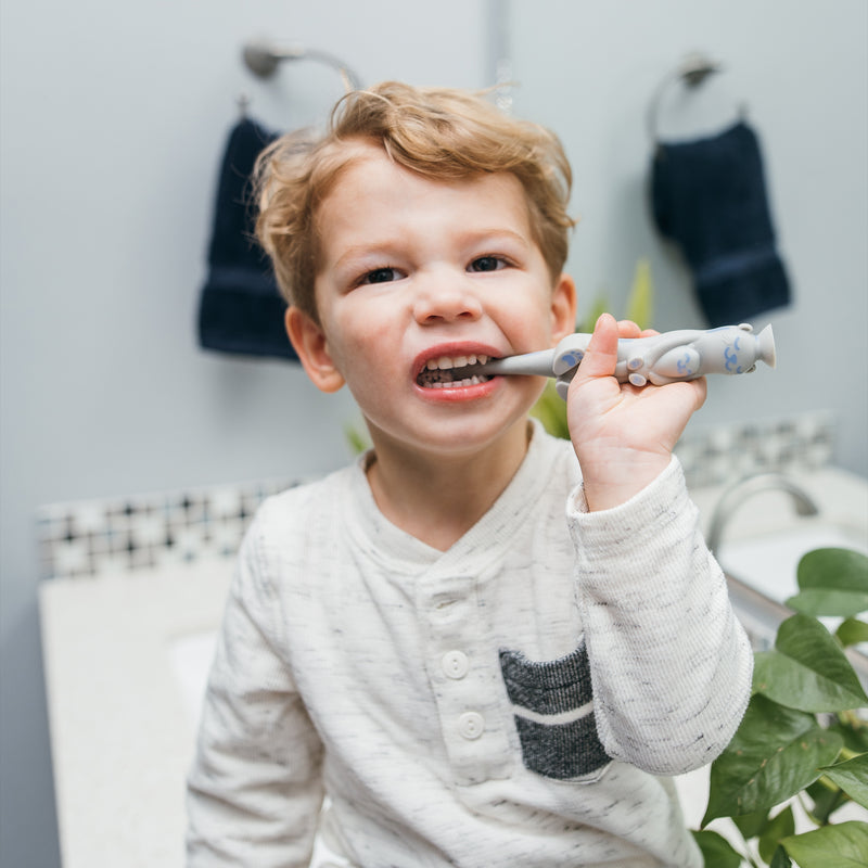 DR. BROWN'S Toddler Toothbrush, Otter
